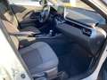 Toyota C-HR C-HR Hybrid Business-Edition MET 2JAAR GARANTIE Blanc - thumbnail 5