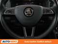 Skoda Karoq 1.0 TSI Ambition Grau - thumbnail 19