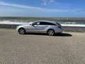 Mercedes-Benz 350 CDI Shooting brake vele opties Grijs - thumbnail 11
