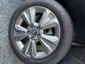 Suzuki Vitara 1,4 GL+ DITC Hybrid shine Aut. Weiß - thumbnail 22
