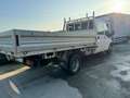 Ford Transit 7posti (la testata da rifare). Wit - thumbnail 3