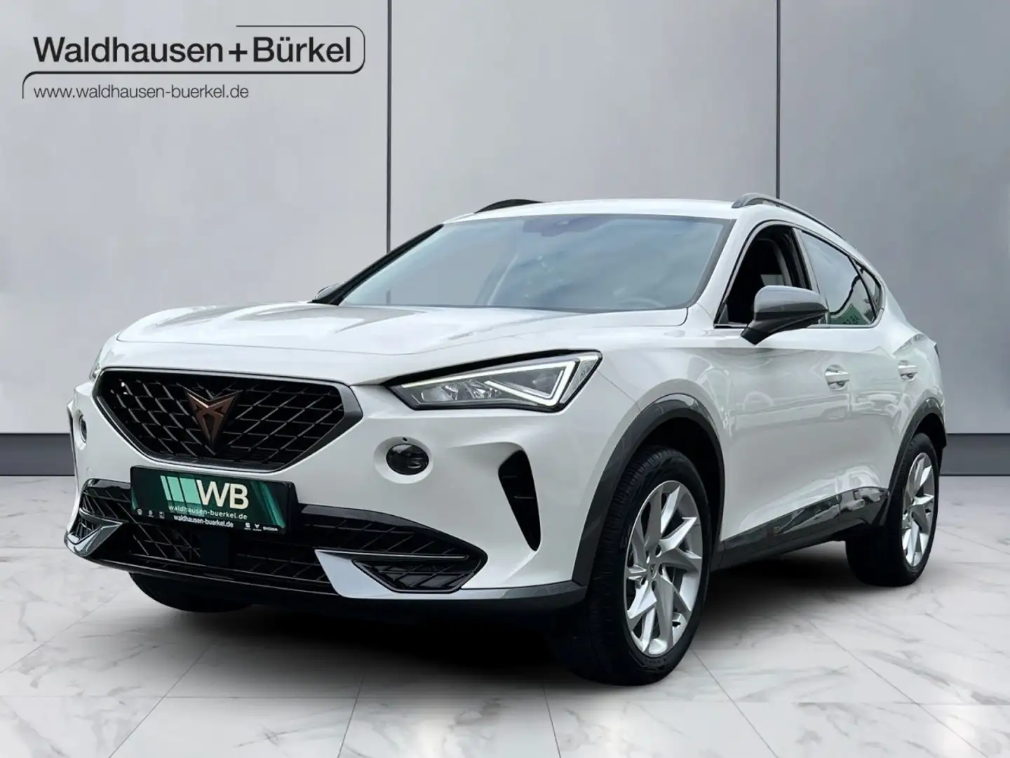CUPRA Formentor 1.5 TSI OPF *Virt. C. Klima Fenster el. Weiß - 1