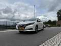 Nissan Leaf Leaf Tekna 40 kWh Білий - thumbnail 2