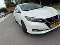 Nissan Leaf Leaf Tekna 40 kWh Білий - thumbnail 1
