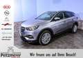 Opel Grandland X 1.2 Start/Stop Edition Grau - thumbnail 1