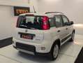 Fiat Panda 1.0 70ch HYBRID CITY LIFE - thumbnail 2