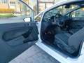Ford Fiesta 1.5 TDCi 95CV 3 porte ST-Line Blanc - thumbnail 7