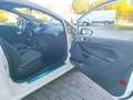 Ford Fiesta 1.5 TDCi 95CV 3 porte ST-Line Blanc - thumbnail 16
