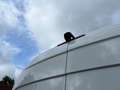 Mercedes-Benz Sprinter 317 L2H2 (€37.250ex) TREKH 3.5T | CAMERA Wit - thumbnail 11