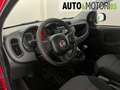 Fiat Panda 1.3 MJT S&S Pop Van 2 posti Rot - thumbnail 10