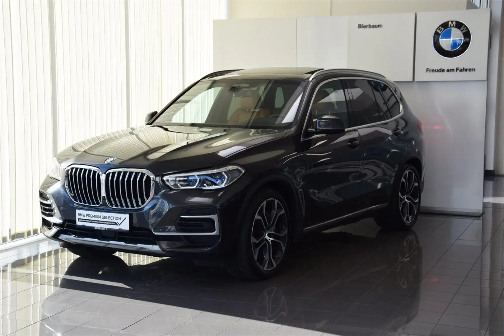 BMW X5 xDrive45e Grijs - 1