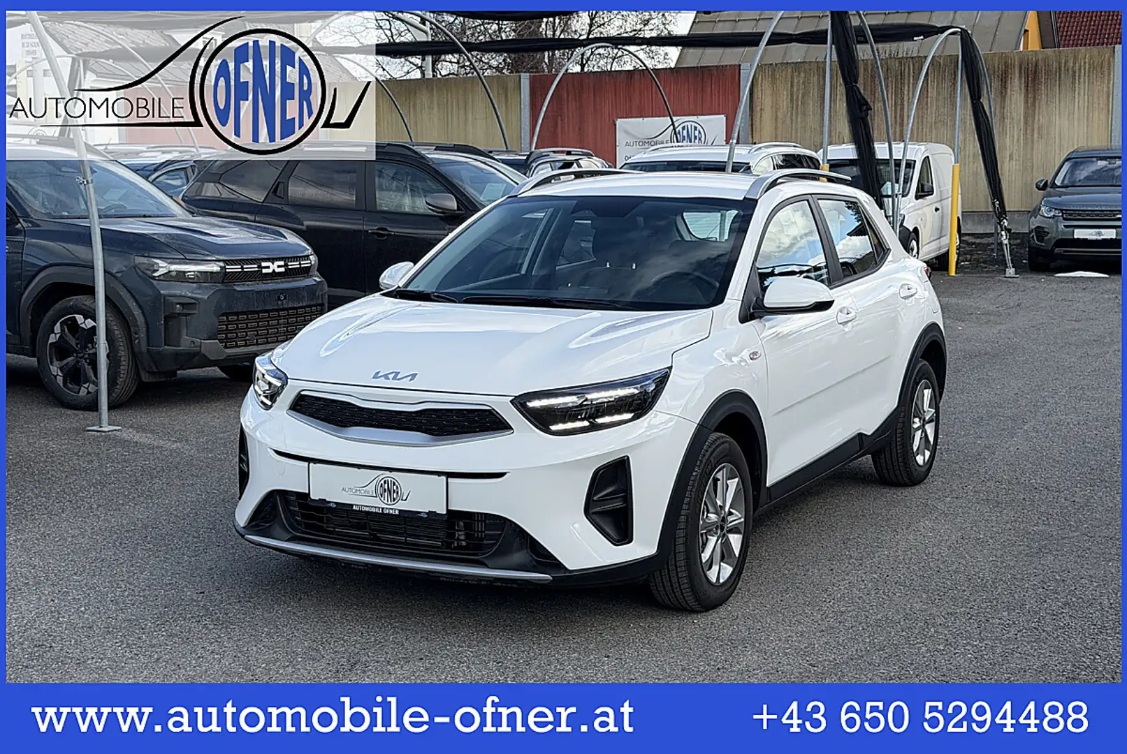 Kia Stonic 1,0 TGDI GPF ISG Silber LED PDC Kamera Sitz&Len... Weiß - 1