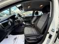 Kia Stonic 1,0 TGDI GPF ISG Silber LED PDC Kamera Sitz&Len... Weiß - thumbnail 12