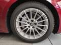 Audi A5 2ª serie - A5 SPB 40 TDI S tronic Rosso - thumbnail 3