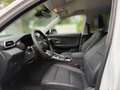 MG ZS Hybrid+ Luxury MY24 Weiß - thumbnail 7