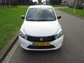 Suzuki Celerio 1.0 Comfort Blanc - thumbnail 8