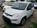 Fiat Panda MY24 Weiß - thumbnail 2