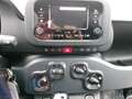 Fiat Panda MY24 Weiß - thumbnail 14