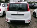 Fiat Panda MY24 Weiß - thumbnail 6