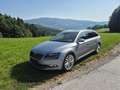 Skoda Superb Superb Kombi 2,0 TDI 4x4 Style DSG Style AHK Grau - thumbnail 1