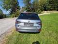 Skoda Superb Superb Kombi 2,0 TDI 4x4 Style DSG Style AHK Grau - thumbnail 4