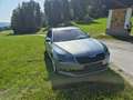Skoda Superb Superb Kombi 2,0 TDI 4x4 Style DSG Style AHK Grau - thumbnail 2