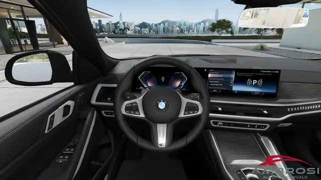 BMW X6 view 12
