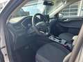 Ford Kuga Titanium 2.5 Duratec PHEV *iACC*360KAMERA* Zilver - thumbnail 10