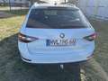 Skoda Superb Superb Combi 1.8 TSI DSG Style Weiß - thumbnail 4