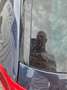 Volkswagen Passat Variant Passat Variant 1.4 TSI Plug-In-Hybrid DSG GTE Bleu - thumbnail 9