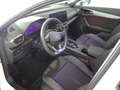CUPRA Formentor 1.5 e-Hybrid 150 DSG Blanco - thumbnail 12