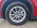 Alfa Romeo Stelvio Stelvio 2.2 t Business rwd 160cv auto my19 Rouge - thumbnail 5