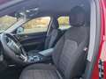 Alfa Romeo Stelvio Stelvio 2.2 t Business rwd 160cv auto my19 Rouge - thumbnail 6