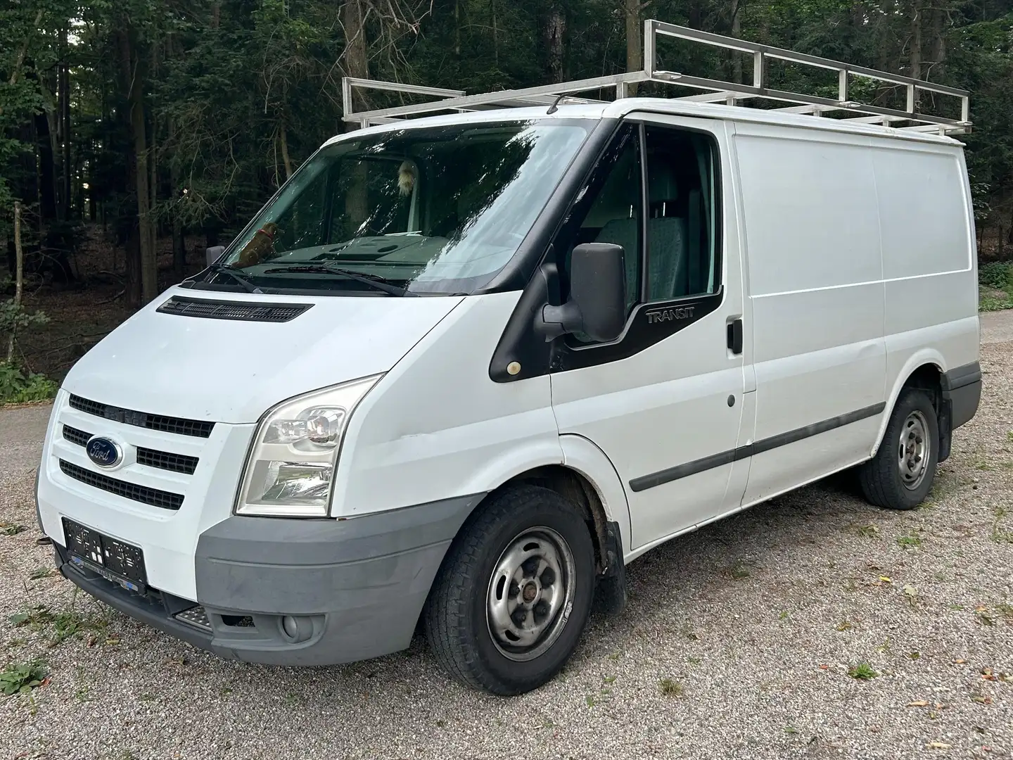 Ford Transit Bus Weiß - 1