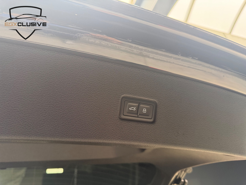 Audi RS Q8 RSQ8 4.0 TFSI quattro DYNAMIC PAKKET|CARBON|CERAMI — photo 44