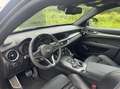 Alfa Romeo Stelvio 2.0t Q4 Veloce 280pk, pano, 20 inch! Grijs - thumbnail 10