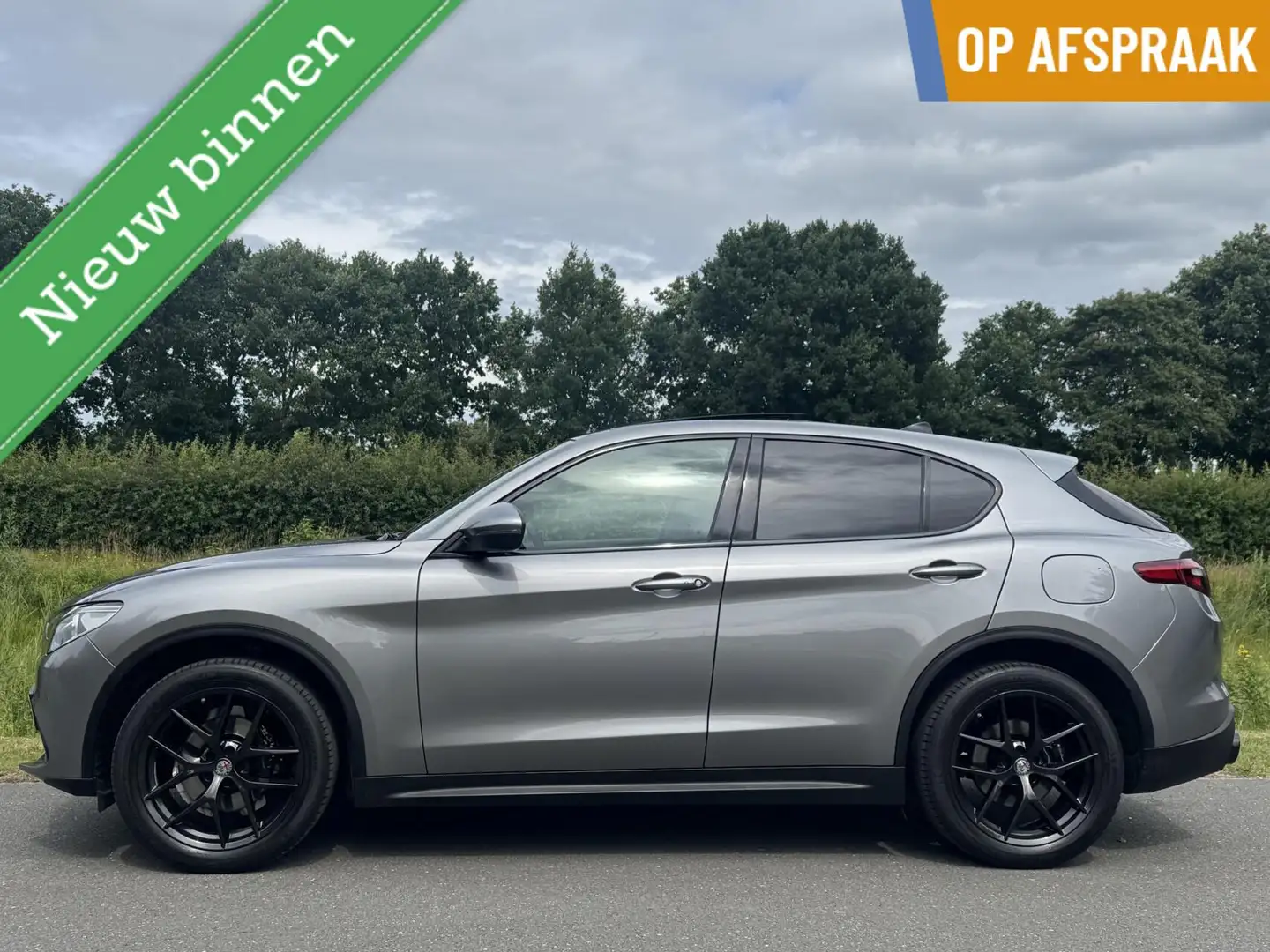 Alfa Romeo Stelvio 2.0t Q4 Veloce 280pk, pano, 20 inch! Grijs - 1