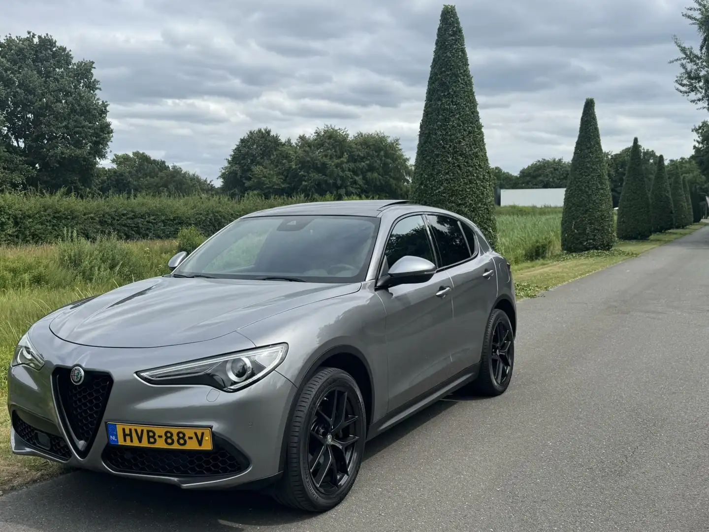 Alfa Romeo Stelvio 2.0t Q4 Veloce 280pk, pano, 20 inch! Grijs - 2