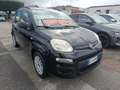 Fiat New Panda 1.2 Gpl di Serie/Easy Power - thumbnail 2