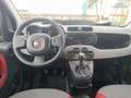 Fiat New Panda 1.2 Gpl di Serie/Easy Power - thumbnail 15