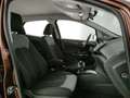Ford EcoSport 1.5 tdci Plus 95cv Bruin - thumbnail 13