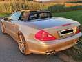Mercedes-Benz SL 500 SL 500 Roadster Aut. Gris - thumbnail 26