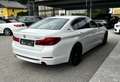 BMW 530 e Sport Line *Leder*SHZ*TWinkel*20Zoll* Blanco - thumbnail 10