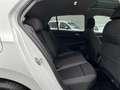 Volkswagen Golf VIII Active 2.0 TDI DSG / Matrix, Pano, AHK Weiß - thumbnail 13