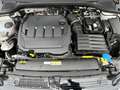 Volkswagen Golf VIII Active 2.0 TDI DSG / Matrix, Pano, AHK Weiß - thumbnail 15