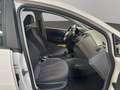 SEAT Ibiza Lim. Reference Weiß - thumbnail 13
