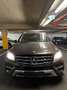 Mercedes-Benz ML 350 BlueTEC 4MATIC Aut. DPF - thumbnail 1