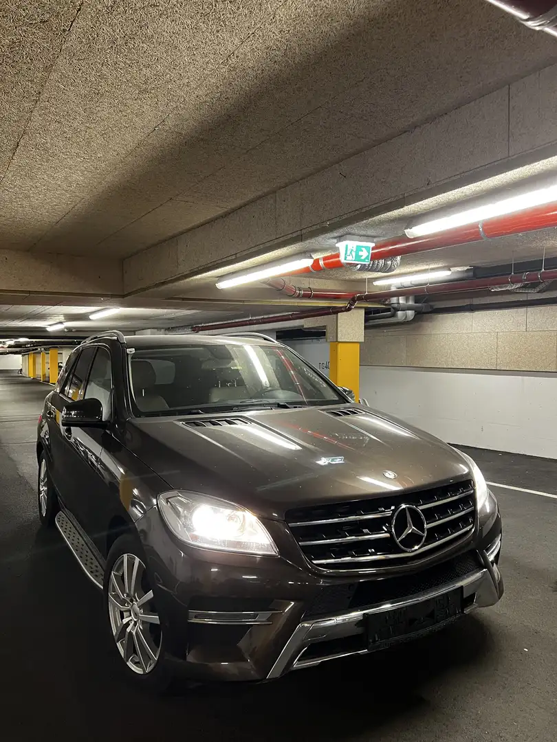 Mercedes-Benz ML 350 BlueTEC 4MATIC Aut. DPF - 2