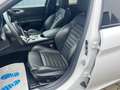 Alfa Romeo Giulia Sprint Q2 mit Veloce Paket Weiß - thumbnail 16