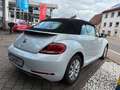 Volkswagen Beetle Cabriolet 1.2 TSI Design PDC/SHZ/TELE/ALU Plateado - thumbnail 5